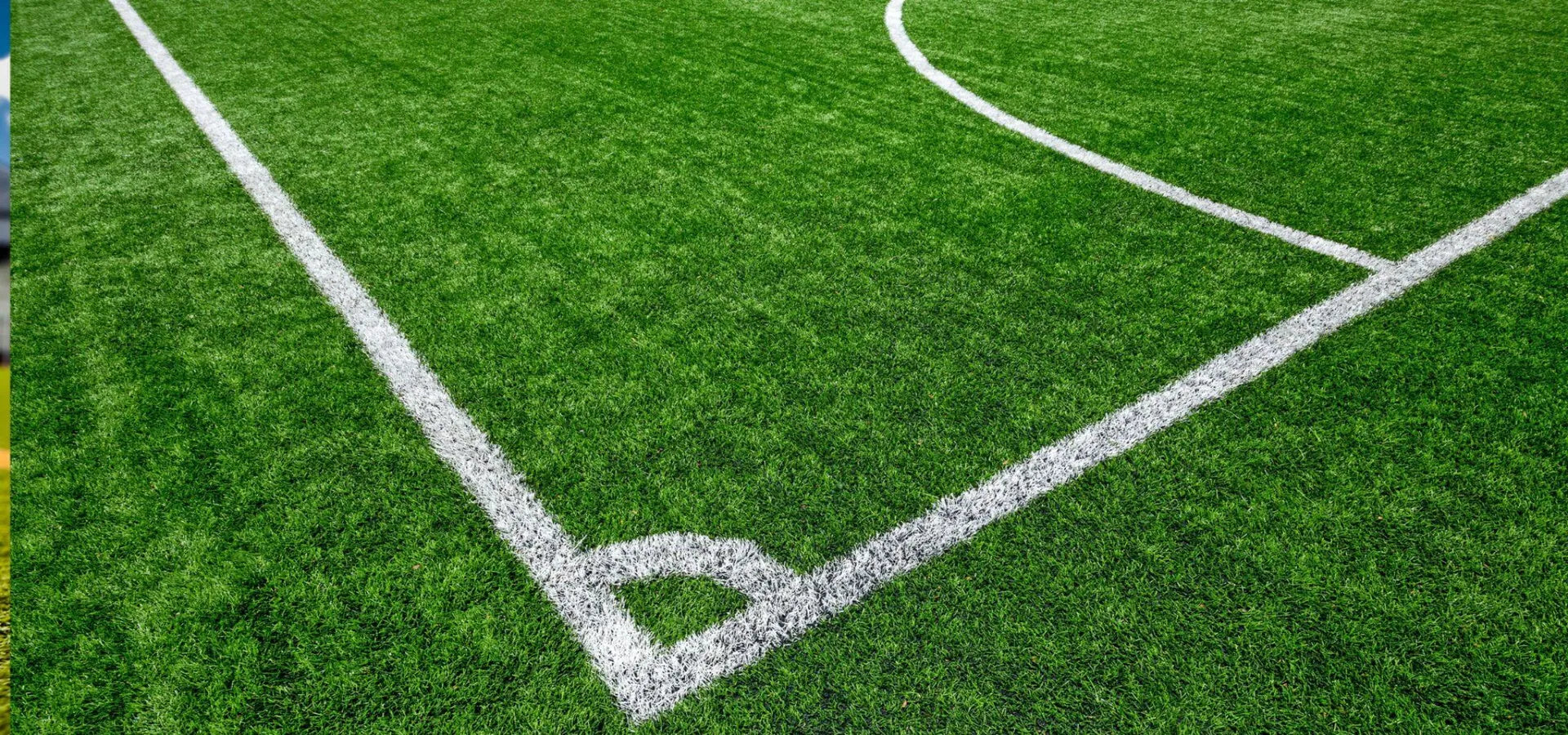Unlocking the Secrets of Football Grass: Enhancing Performance and Sustainability