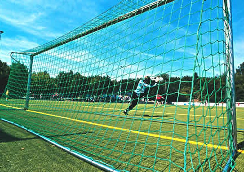 soccer net